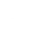 blip_scm_eagle_flies