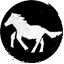 blip_mp_game_race_horse
