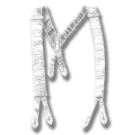 clothing_generic_suspenders