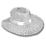 clothing_hl_player_hat_048_1