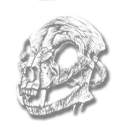 clothing_item_skullmask_mr1_002_1