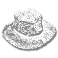 clothing_item_sp_collectable_hat_mr1_000