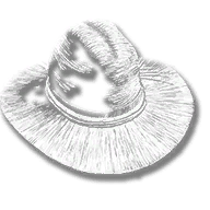 clothing_item_sp_collectable_hat_mr1_005