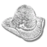 clothing_item_sp_collectable_hat_mr1_013
