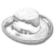 clothing_item_sp_collectable_hat_mr1_048