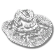clothing_item_sp_collectable_hat_mr1_053_alt02