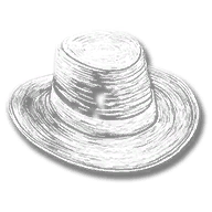 clothing_item_sp_collectable_hat_mr1_060