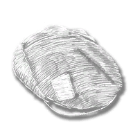 clothing_item_sp_collectable_hat_mr1_063_alt01