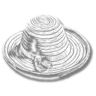 clothing_item_sp_collectable_hat_mr1_093