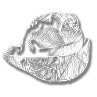clothing_item_sp_collectable_hat_mr1_102