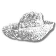 clothing_item_sp_collectable_hat_mr1_111