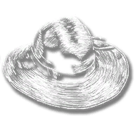 clothing_item_sp_collectable_hat_mr1_112