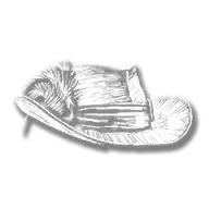 clothing_item_sp_exoticcollector_hat_000