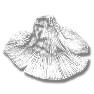 clothing_sp_scarecrow_02_hat_000_1