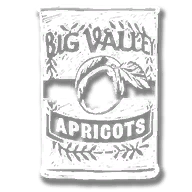 consumable_apricots_can