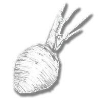 consumable_beets
