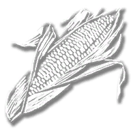 consumable_corn