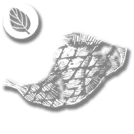 consumable_exotic_bird_oregano_cooked