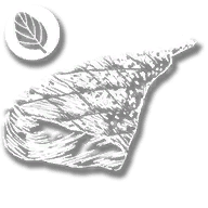 consumable_game_meat_oregano_cooked