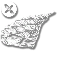 consumable_game_meat_thyme_cooked