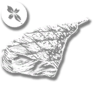 consumable_game_meat_wild_mint_cooked