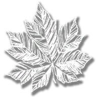 consumable_herb_alaskan_ginseng
