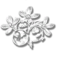 consumable_herb_currant