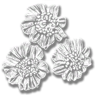 consumable_herb_english_mace