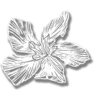 consumable_herb_oleander_sage
