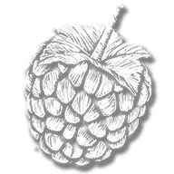 consumable_herb_red_raspberry