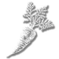 consumable_herb_wild_carrots