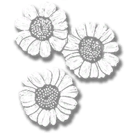 consumable_herb_wild_feverfew