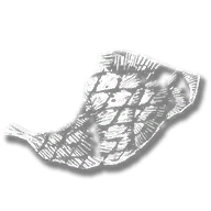consumable_meat_exotic_bird_cooked