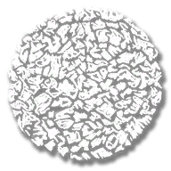 consumable_oat_cakes
