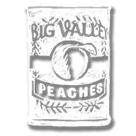 consumable_peaches_can