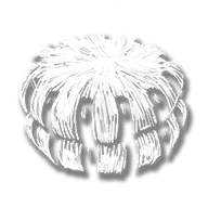 consumable_peppermint