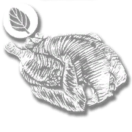consumable_plump_bird_oregano_cooked