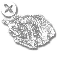 consumable_plump_bird_thyme_cooked
