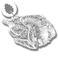 consumable_plump_bird_wild_mint_cooked