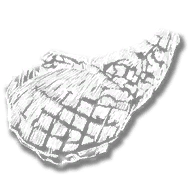 consumable_pork_cooked