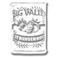 consumable_strawberries_can