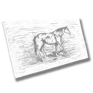 document_cig_card_hor