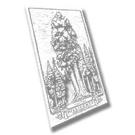 document_cig_card_plt