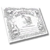 document_horse_deed