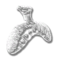 generic_horse_equip_horn