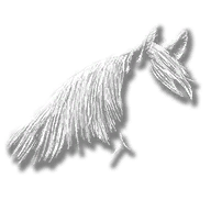 generic_horse_equip_mane