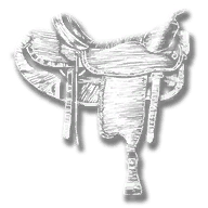 generic_horse_equip_saddle