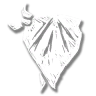 kit_bandana