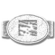 provision_buckle_platinum