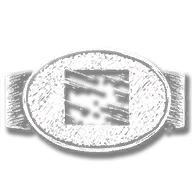 provision_buckle_silver